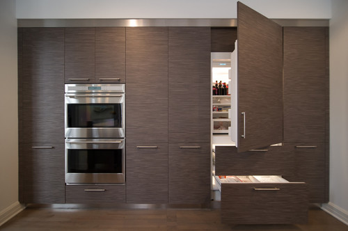 Integrated kitchen appliances